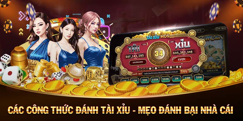 đá gà casino tải game bắn cá đổi thưởng tiền mặt